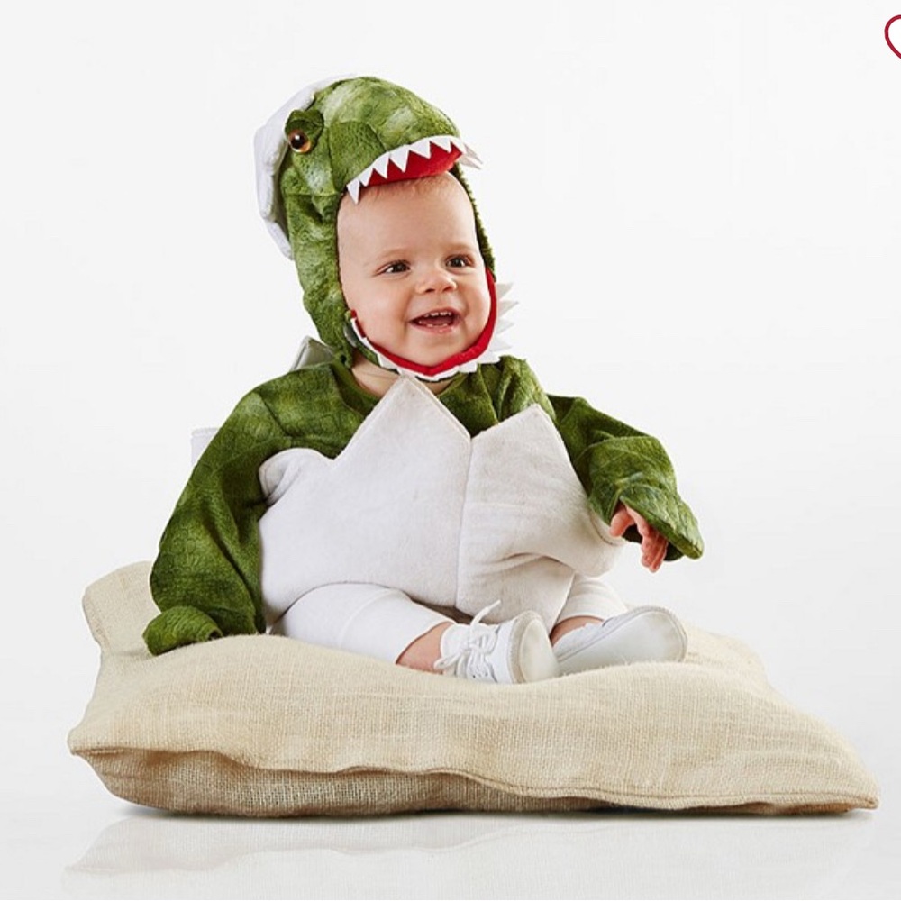 Pottery Barn Kids Dinosaur Egg Costume